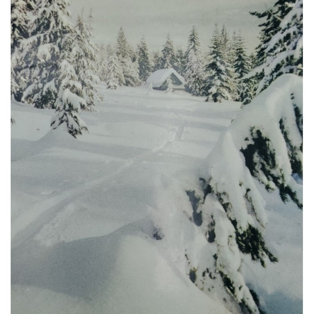 11 Old Vintage Used Christmas Card Fronts for Crafts Winter Snow Country Woods - Picture 9 of 16